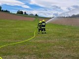 IMG-20250518-WA0044